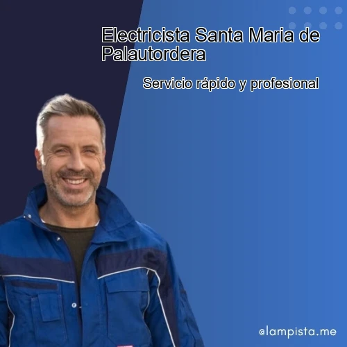 Banner para Electricista Santa Maria de Palautordera