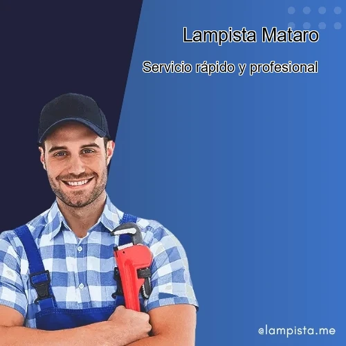 Banner para Lampista Mataro