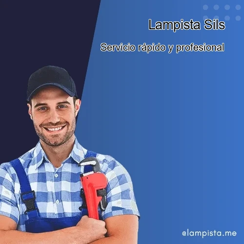 Banner para Lampista Sils